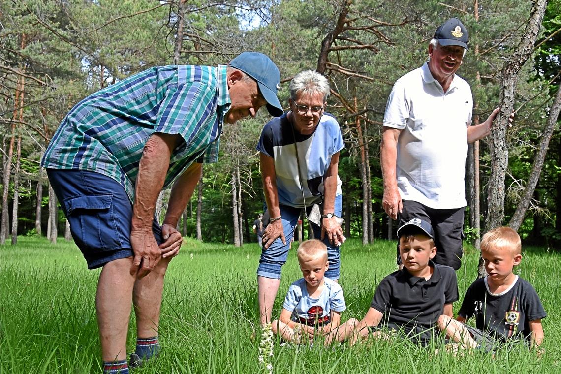 Gustav Zeltwanger, Ingrid Grolich, Jürgen Burr zeigen Ben, Jan und Nick (von links) eine der Orchideenschönheiten im Sommerrain.