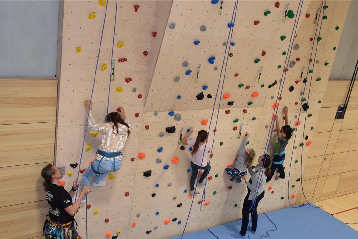 Gut gesichert geht es an der Kletterwand in der Walterichsporthalle in die Höhe. Foto: Elisabeth Klaper