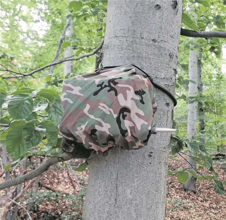Mopsfledermaus in Murrhardt entdeckt Gut getarnt nehmen die Mini-Batcorder Rufe von Fledermäusen auf. Foto: Nabu/R. Pfeifle