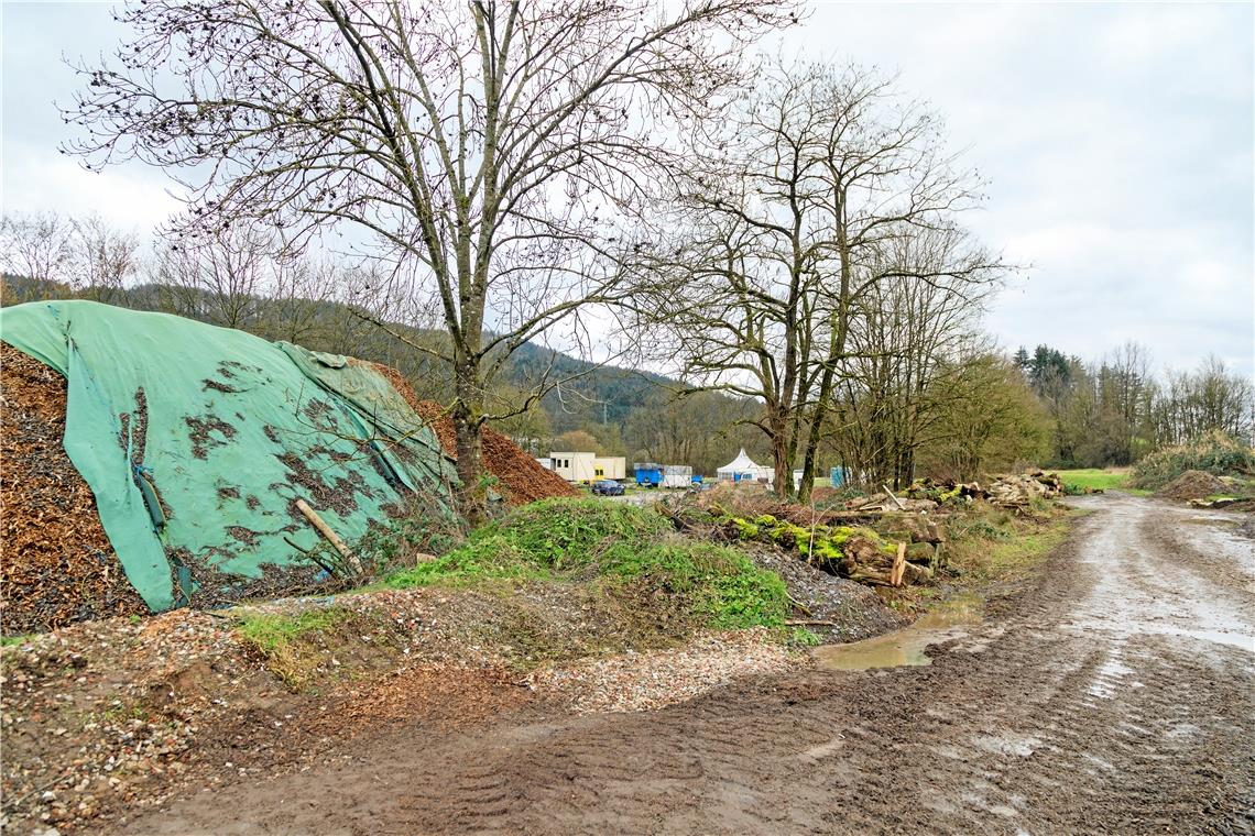 Geschützte Arten: Untersuchungen laufen Hackschnitzel lagern in der Froschgrube auch heute schon, aber das Gebiet soll neu augeteilt und von mehreren Partnern genutzt werden. Foto: Stefan Bossow