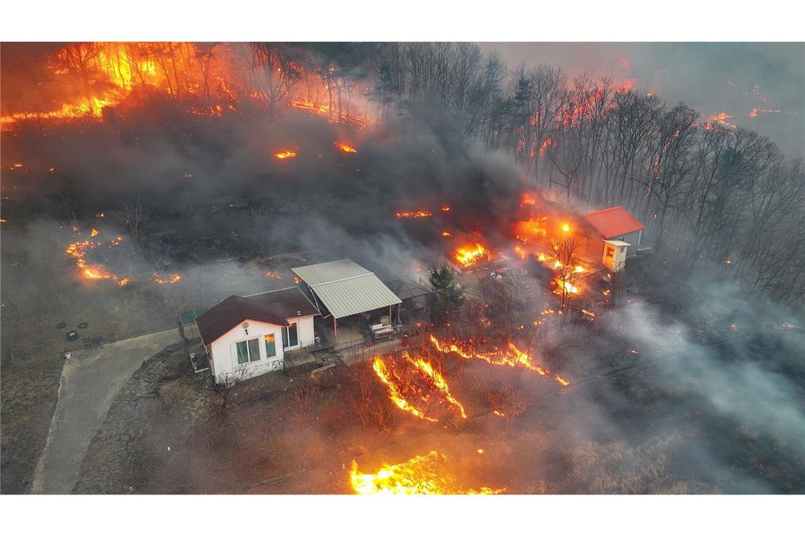 Bilder des Tages Häuser brennen in einem Dorf in Uiseong in der Provinz Nord-Gyeongsang im Südosten Südkoreas nachdem sie von einem Waldbrand verschlungen wurden.