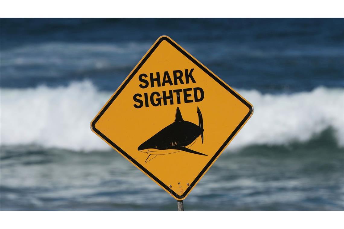 Haiangriffe haben sich an Australiens Ostküste zuletzt gehäuft. (Archivbild)