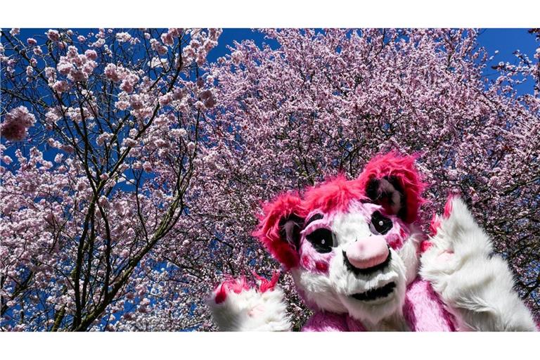 Hanami-Fest in voller Blüte: Kirschblütenzauber und Cosplay in den Gärten der Welt in Berlin