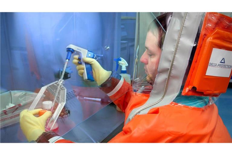 Hantavirus-Analyse im Labor – vor allem in Amerika gibt es gefährliche Varianten.