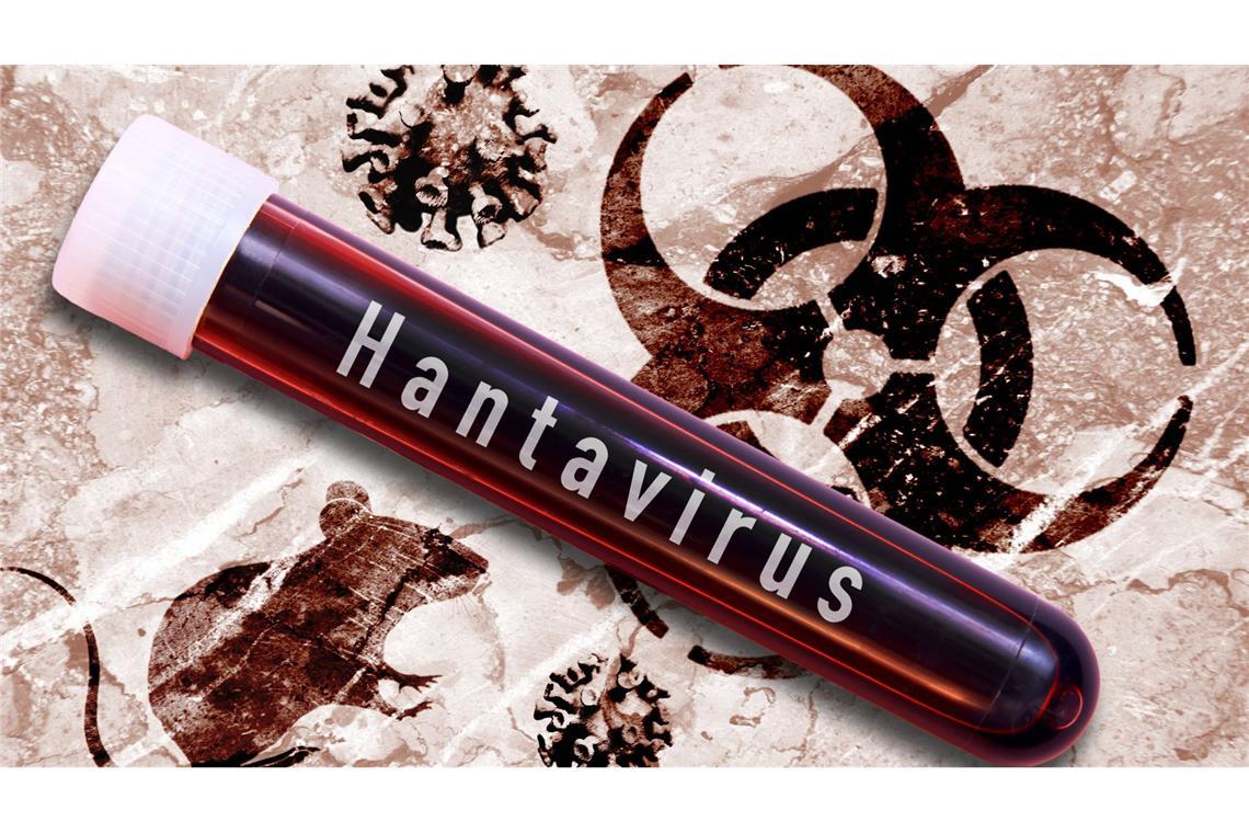 Hantavirus-Untersuchung im Labor (Montage/Symbolbild).