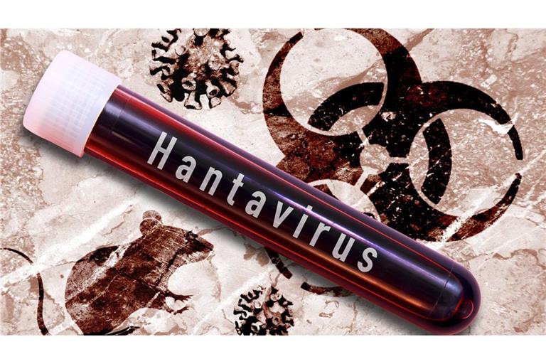 Hantavirus-Untersuchung im Labor (Montage/Symbolbild).