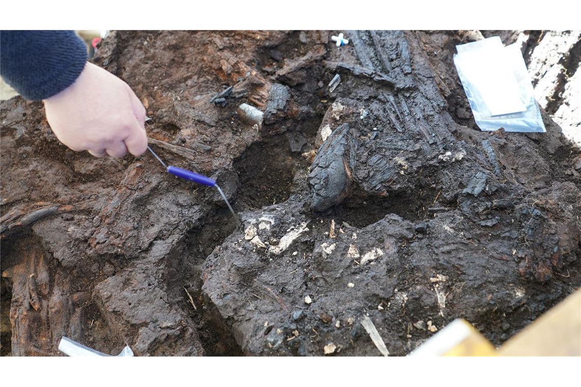 „Pirat“ von Lüchow: Duvenseer Moor gibt seine Geheimnisse preis Harald Lübke, Archäologe und Ausgrabungsleiter, zeigt auf die menschlichen Überreste eines vor rund 10.500 Jahren gestorbenen Menschen in einer Ausgrabungsstätte im Duvenseer Moor.