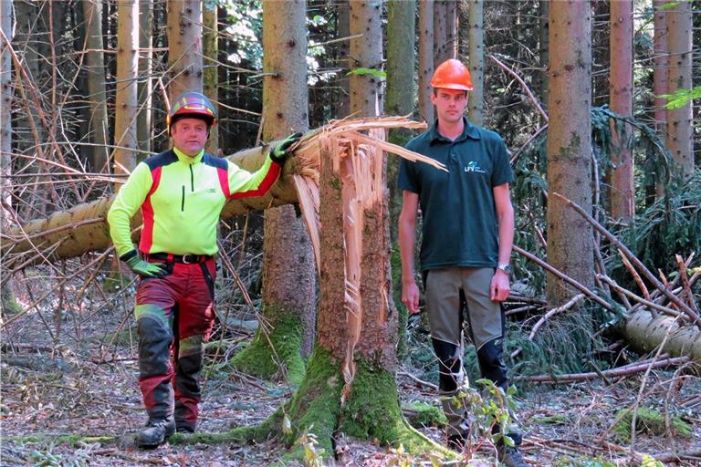 Harald Wurst und Revierförster Philipp Dölker (von links) bei einem Baum, den es wie ein Streichholz umgeknickt hat. Fotos: Christine Schick
