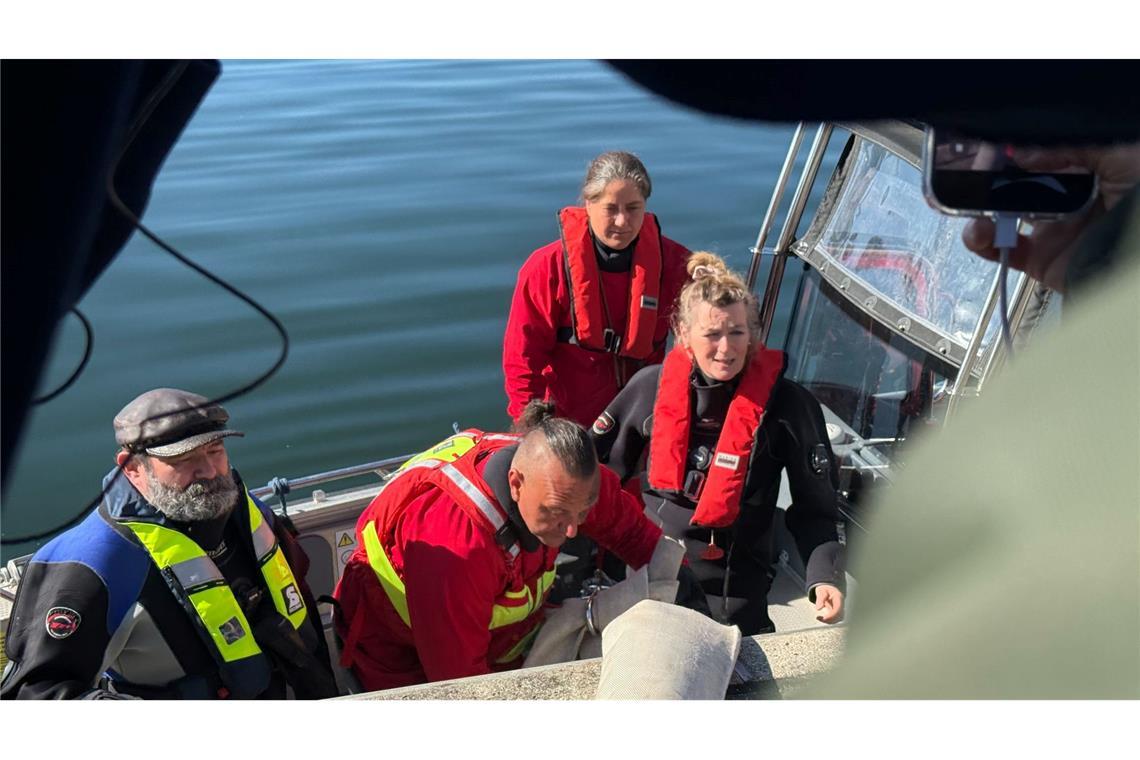 Helfer besteigen ein Boot, um zum Wal hinauszufahren.