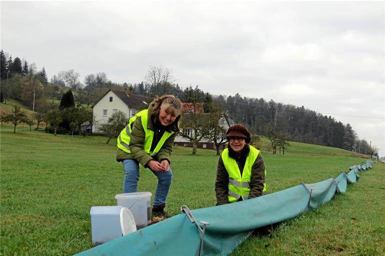 Helga Fischer und Annelie Herold (von links) am Krötenzaun bei Kirchenkirnberg an der Gschwender Straße. Wenn die Tiere in den dort in regelmäßigen Abständen eingegrabenen Eimern gelandet sind, bringen sie sie später in den nahe gelegenen Herrensee. Fotos: Christine Schick