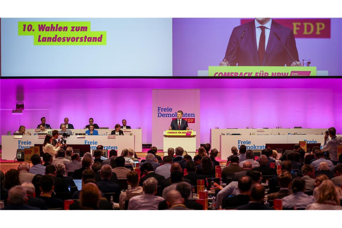 Höne startet mit Rückenwind in Kampf um FDP-Bundesvorsitz