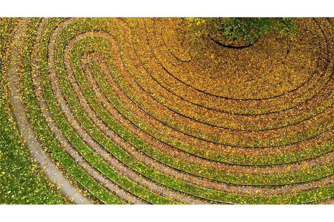 Bilder des Tages Herbstfarben im historischen Rasenlabyrinth "Das Rad"