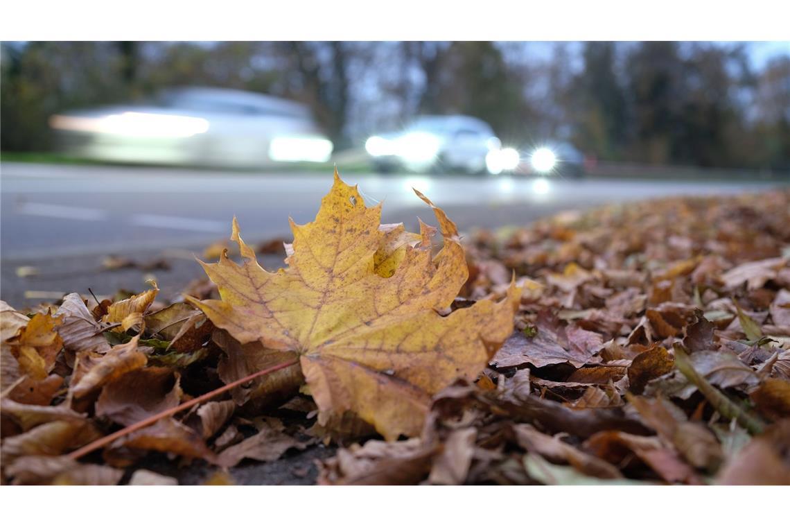 Bilder des Tages Herbstlaub liegt auf einem Gehweg vor einer Straße, auf der im morgendlichen Berufsverkehr die Autos fahren.
