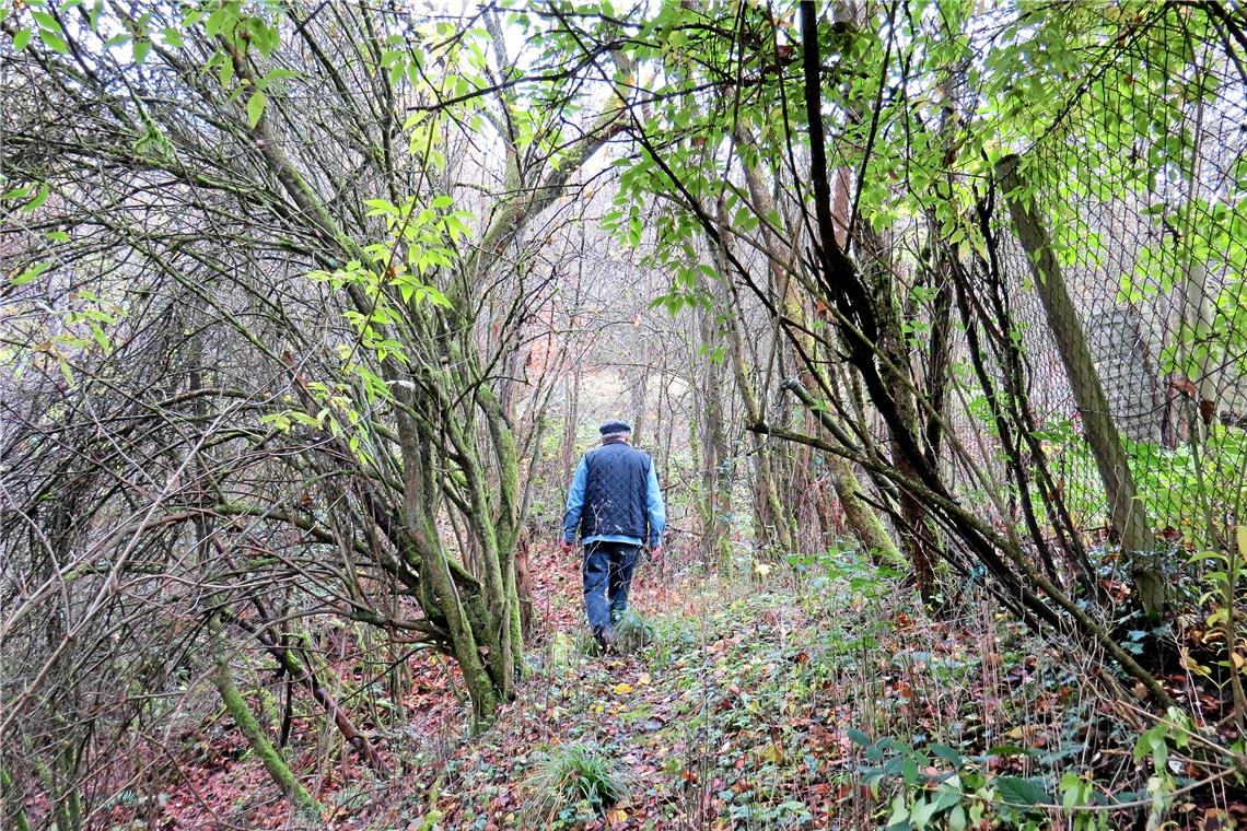 Sorge um ein kleines Refugium Herbstliche Stimmung und von Bäumen und Büschen gesäumte Wege. Fotos: C. Schick