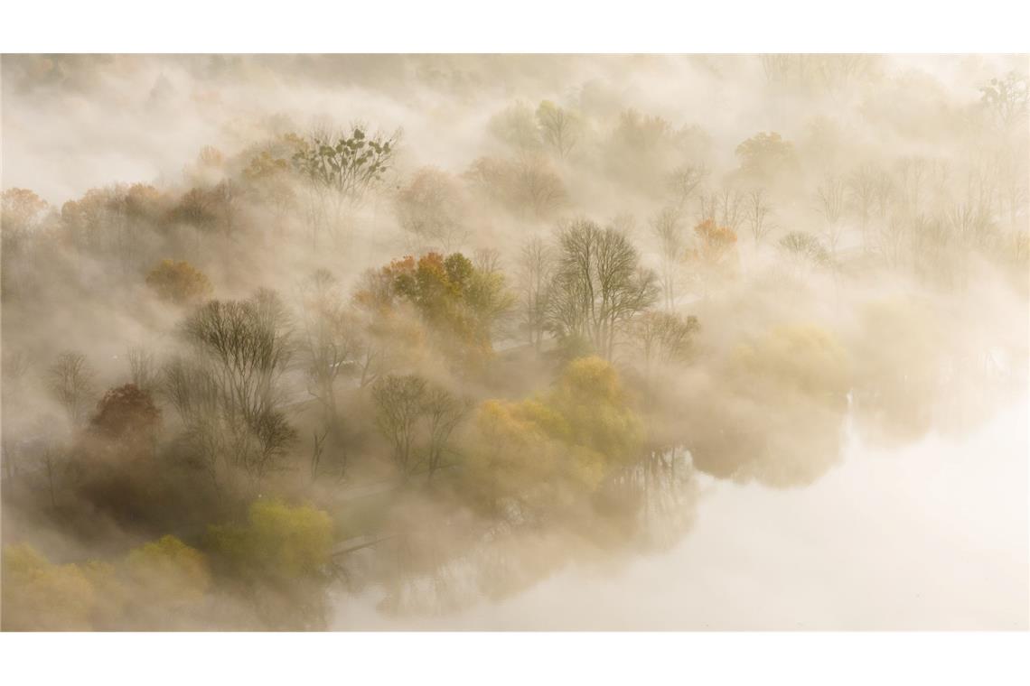 Herbstlicher Nebel am Morgen