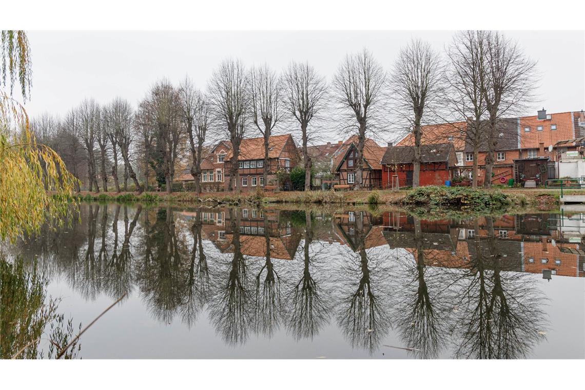 Bilder des Tages Herbstwetter in Mecklenburg-Vorpommern: Spiegelung im Altendorfer Teich in Boizenburg.