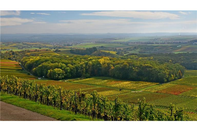 Herrlicher Rundumblick auf dem Panoramaweg.