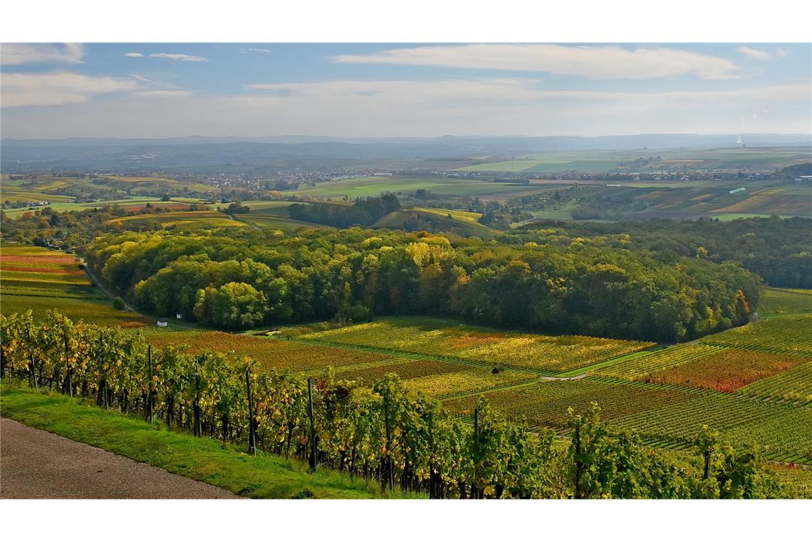 Tolle Ausblicke vom Turm des ersten Herzogs – die Heuchelberger Warte Herrlicher Rundumblick auf dem Panoramaweg.
