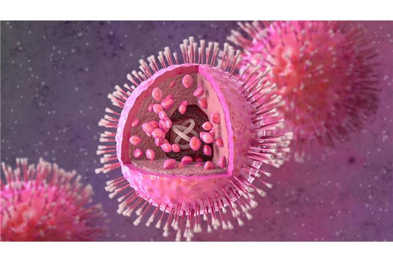 HHV-6A/B (Humane Herpesviren Typ 6A und 6B) sind zwei eng verwandte, weit verbreitete Viren, die meist schon im frühen Kindesalter lebenslang im Körper verbleiben. Während HHV-6B der Hauptverursacher des Dreitagefiebers (Roseola infantum) ist, wird HHV-6A oft mit neurologischen Problemen, Immunschwäche-bedingten Krankheiten und Fruchtbarkeitsproblemen in Verbindung gebracht.