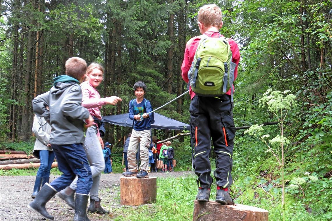 Waldolympiade mit Erkundungsfaktor Hier ist nicht nur Kraft, sondern auch Balance und Standvermögen gefragt. Fotos: C. Schick