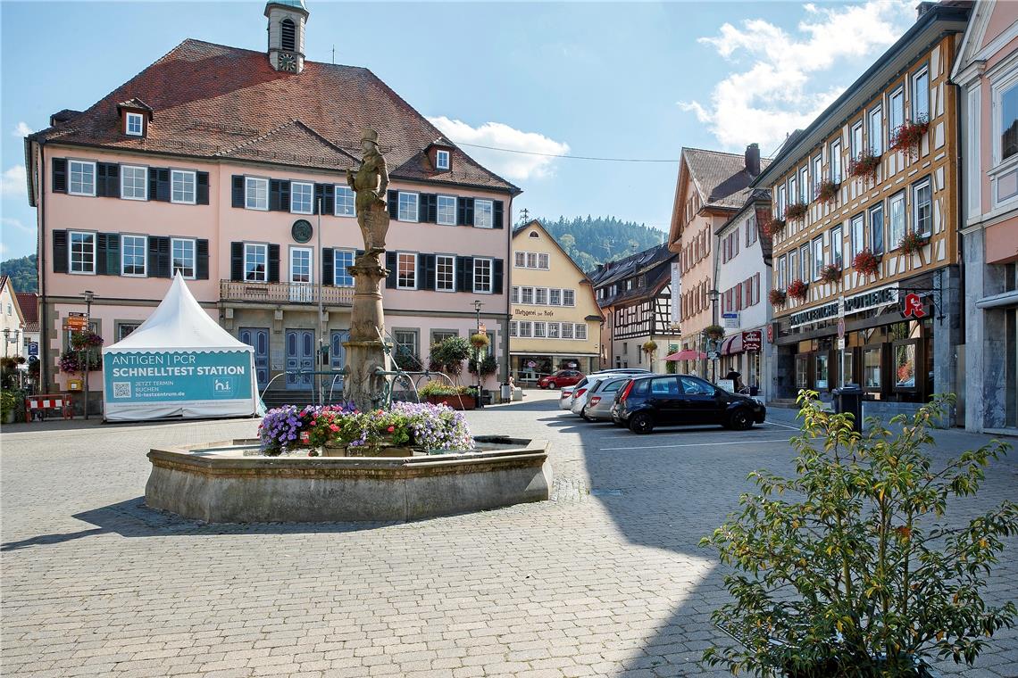 Aufhübschung schlägt neuen Verkehrsplan Hinter dem Brunnen, hier an der rechten Seite, soll ein ruhiger Bereich zum Verweilen eingerichtet werden – mit Bänken, Bepflanzung und Wipptieren für Kinder.