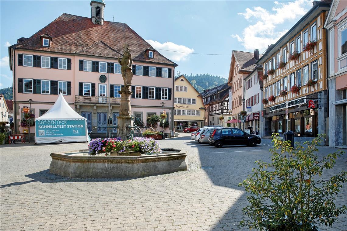 Hinter dem Brunnen, hier an der rechten Seite, soll ein ruhiger Bereich zum Verweilen eingerichtet werden – mit Bänken, Bepflanzung und Wipptieren für Kinder.