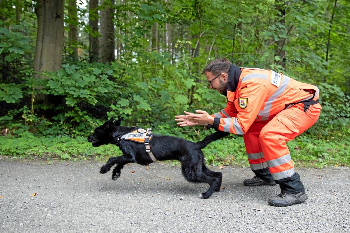 Heldenhafte Spürnasen und ihre Begleiter Hoch motiviert: Michael Braun schickt seine Nala los, damit sie das Waldgebiet scannt.