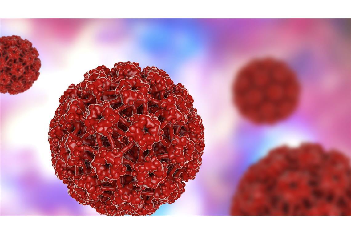 HPV werden sexuell übertragen und können unter anderem Gebärmutterhalskrebs sowie Krebs im Mund-Rachen-Raum, an weiblichen und männlichen Geschlechtsorganen und im After verursachen.