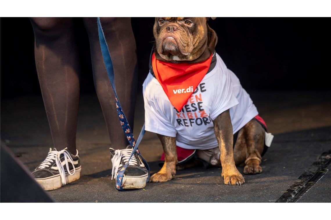 Hund Henry beim Verdi-Streik