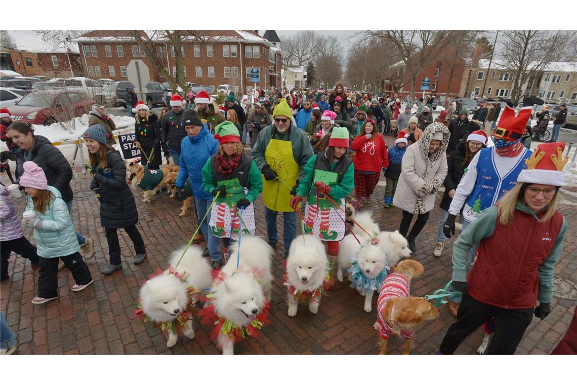 Hunde und ihre Besitzer ziehen während der jährlichen Reindog Parade durch die Innenstadt.