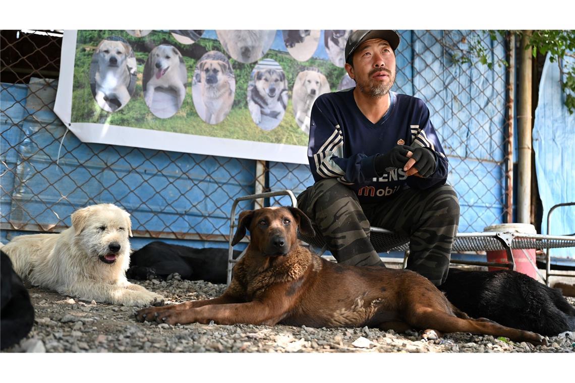 Huzi hatte zehn Jahre in Peking gearbeitet, bevor er entschied, sich nur noch um Hunde zu kümmern.