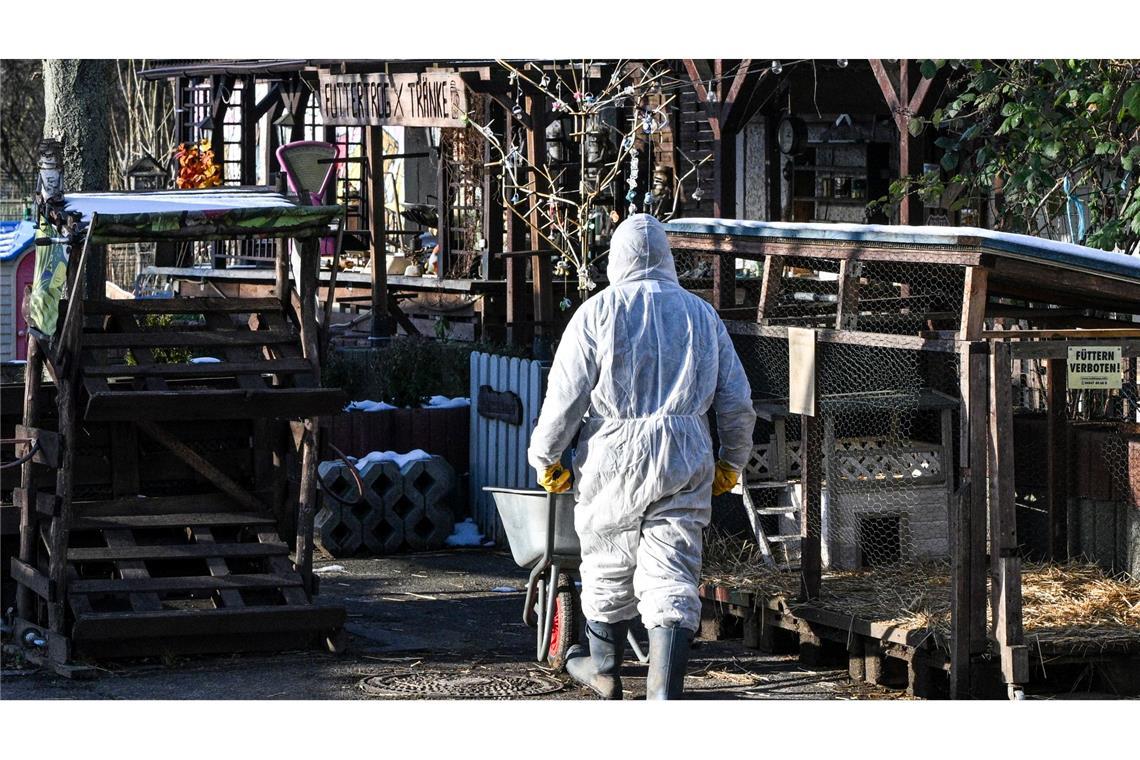 Keine weiteren Seuchenfälle - London verhängt Importverbot Im Bereich der Schutzzone müssen Mitarbeiter in gefährdeten Tierbetrieben viele Hygienemaßnahmen beachten (Archivbild).