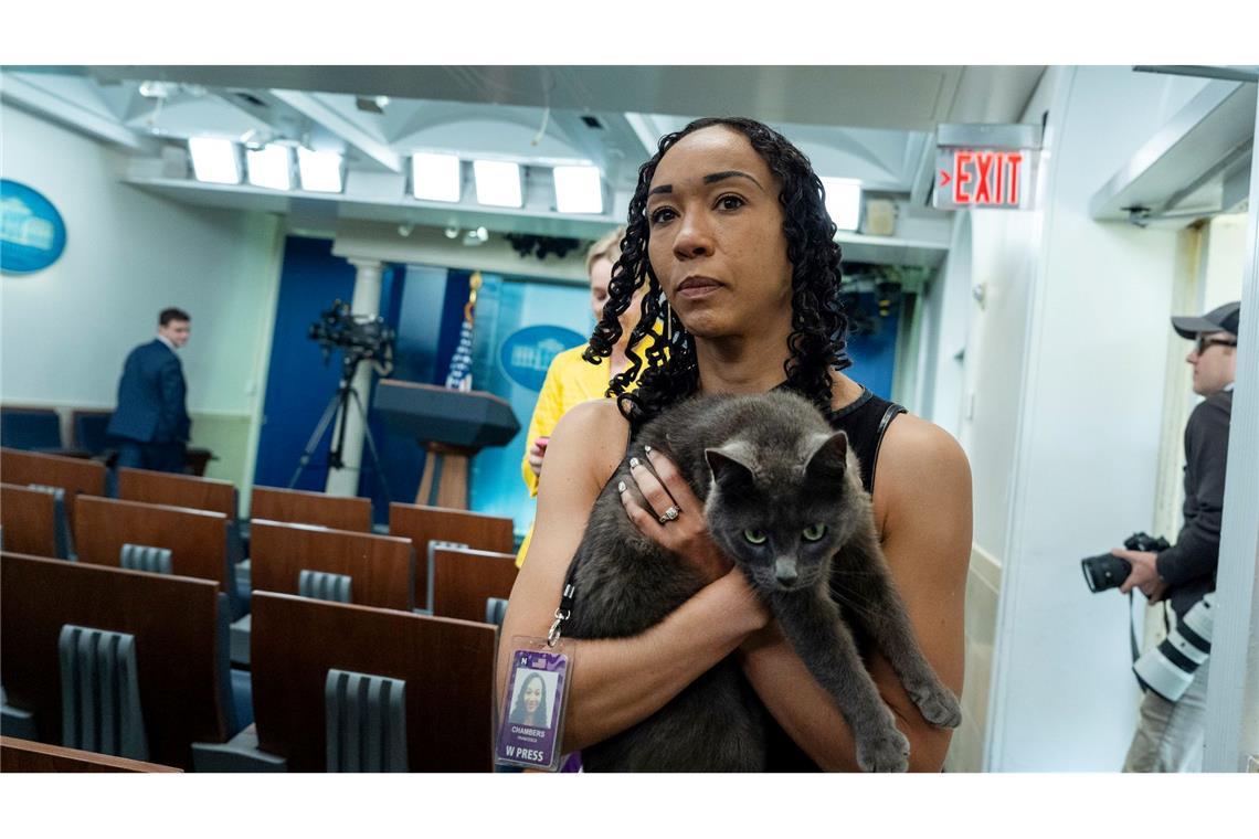 Katze auf Abwegen sorgt für Aufsehen im Weißen Haus Im Briefing-Raum des Weißen Hauses sind normalerweise keine Katzen unterwegs.