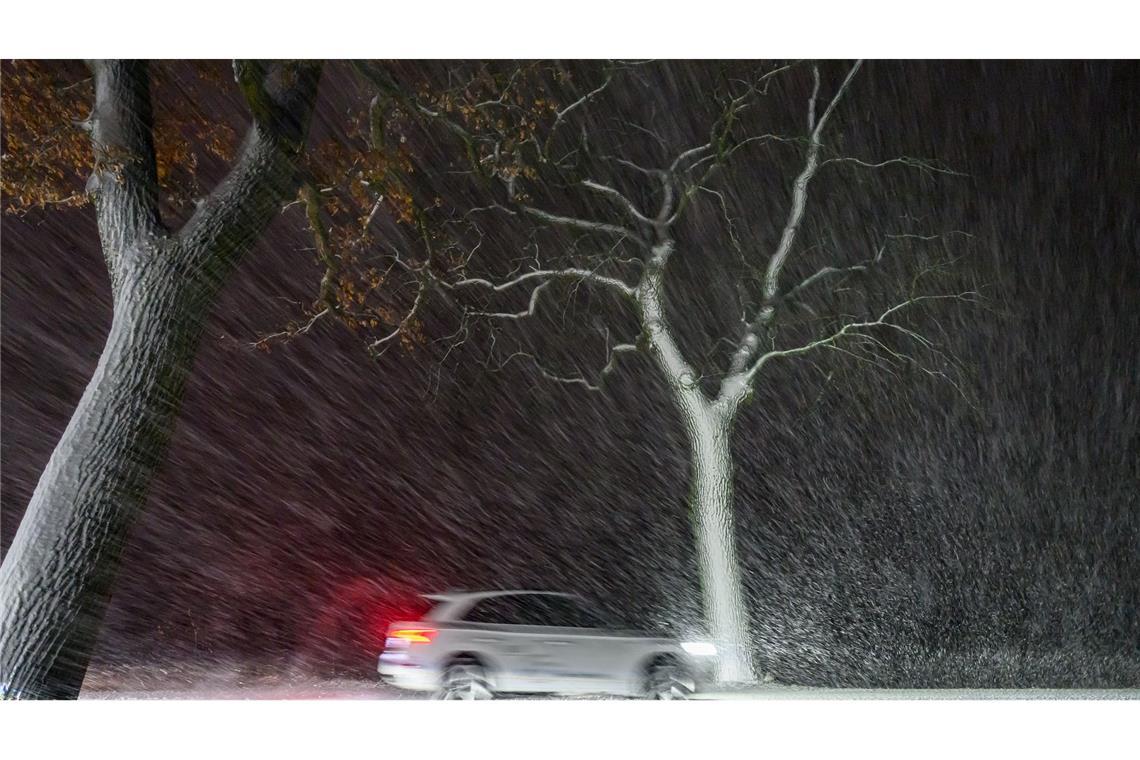 Bilder des Tages Im dichten Schneetreiben ist ein Auto auf einer Allee im östlichen Brandenburg unterwegs.