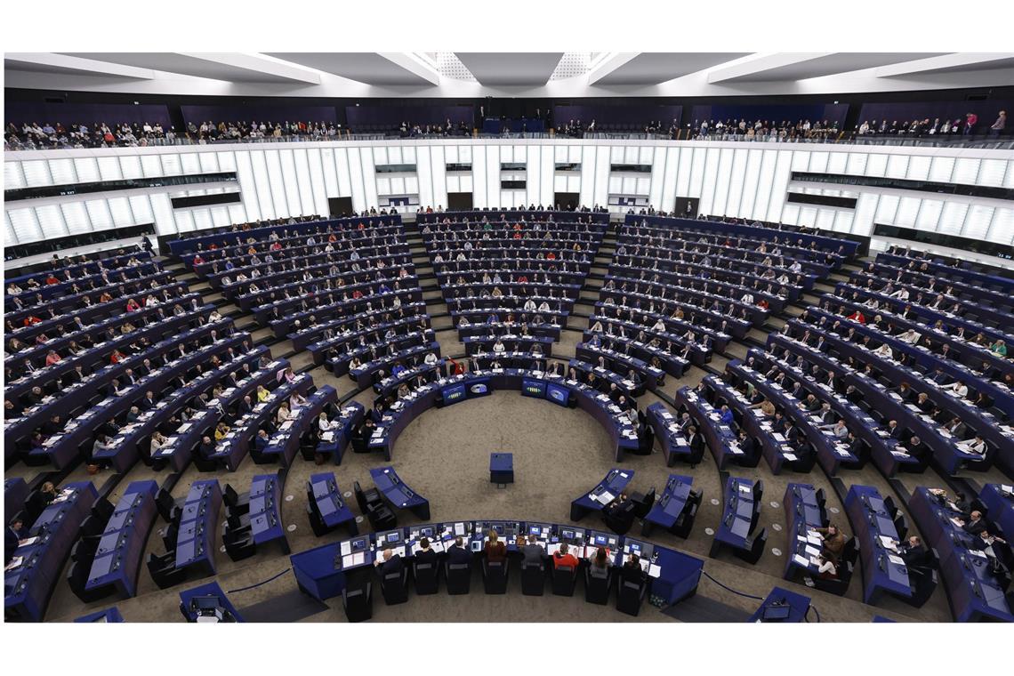 Heftiger Streit um EU-Geld für Umweltorganisationen Im Europaparlament ist ein heftiger Streit über die Finanzierung von Nichtregierungsorganisationen ausgebrochen.
