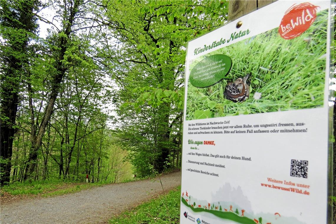 Sorge um eine bedrängte Natur Im Frühjahr sind Wildtiere und ihr Nachwuchs besonders gefährdet. Eine Initiative des Jagdverbands – „Bewusst wild“ – macht auf verschiedene Aspekte des Themas aufmerksam. Wichtig ist beispielsweise, auf den Wegen zu bleiben. Ein Schild im Trauzenbachtal auf dem Trimm-dich-Pfad gibt Auskunft. Foto: C.Schick
