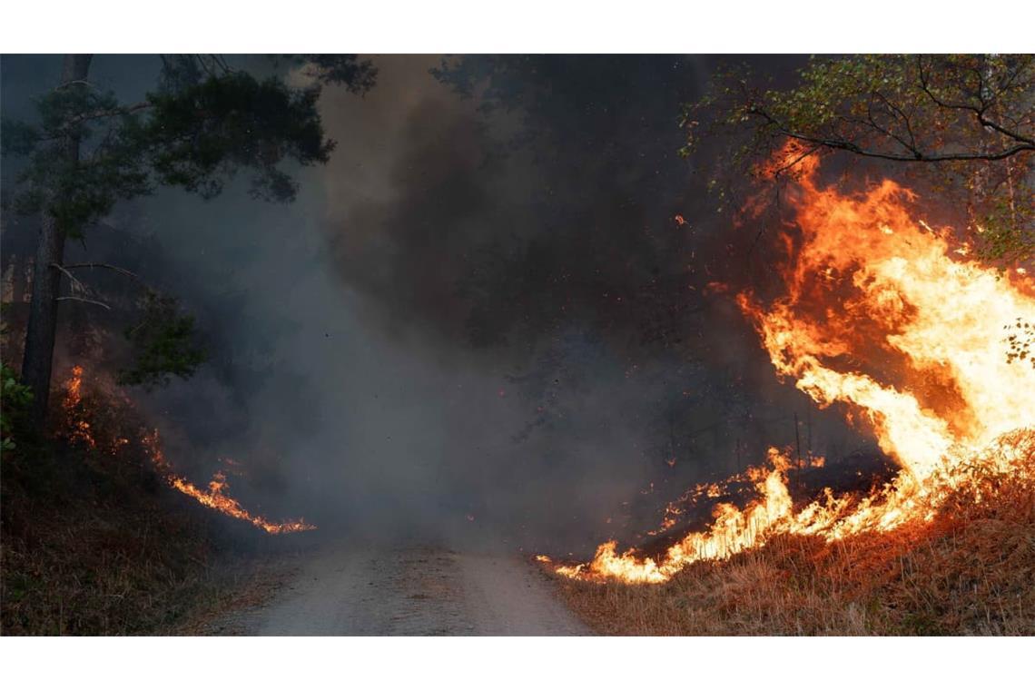 Im Hürtgenwald kam es in diesem Sommer zu einem der größten Waldbrände in der Geschichte Nordrhein-Westfalens.