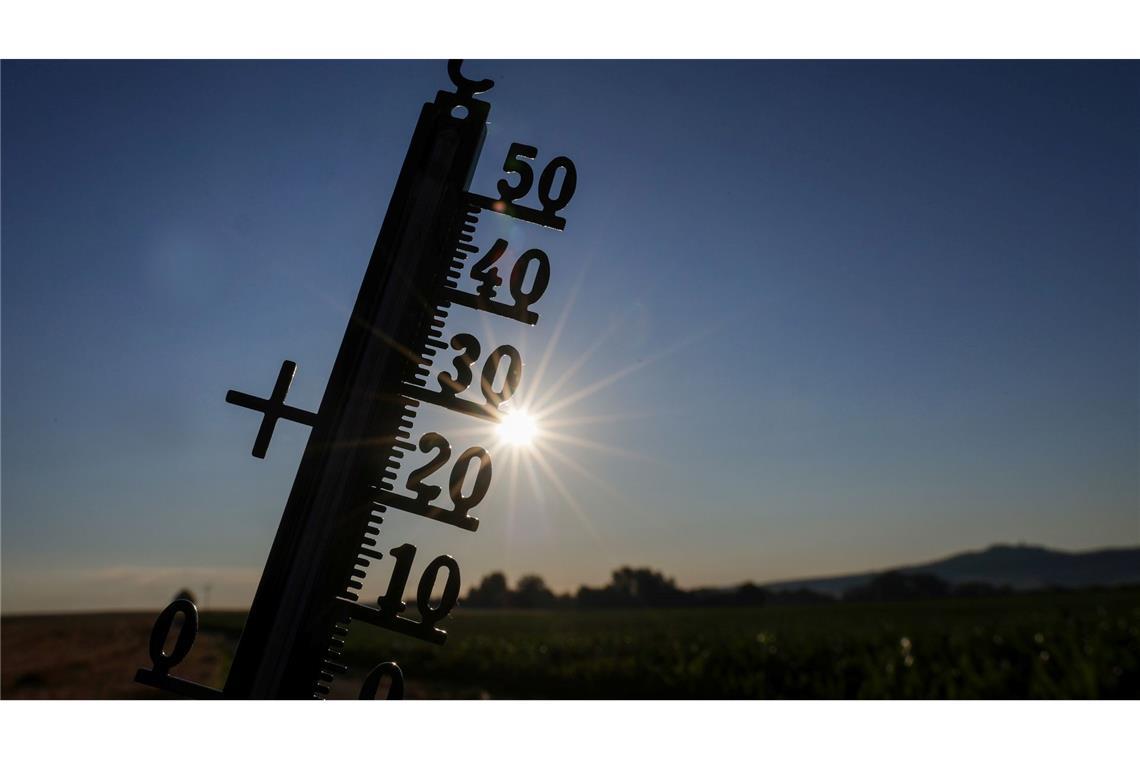 Hitze-Warnung und fast 40 Grad in der neuen Woche Im Laufe der Woche wird laut DWD nahezu bundesweit die 30-Grad-Marke geknackt.
