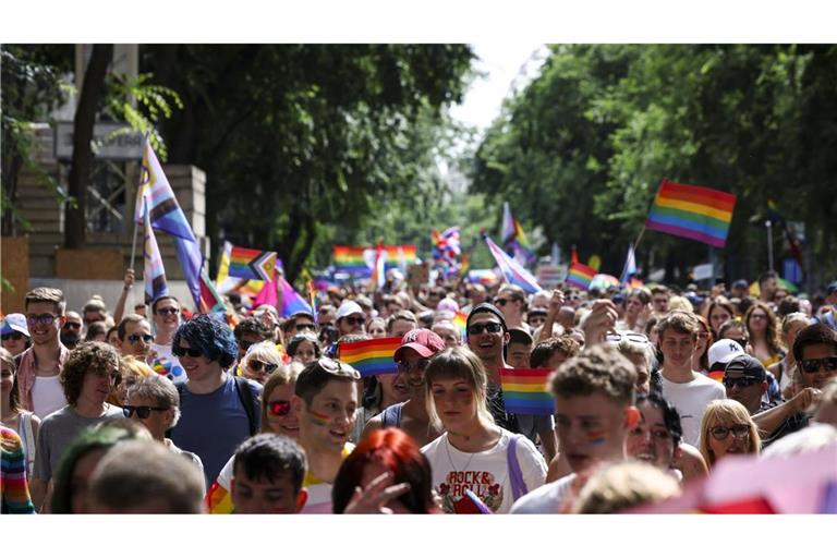 Im März wurden bereits Pride Paraden in Ungarn verboten (Archvibild).