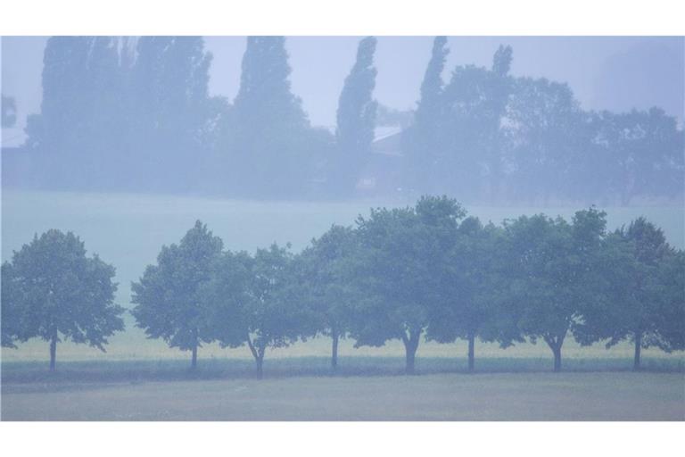 Im Nordosten Deutschlands wird heftiger Regen erwartet. (Archivbild)