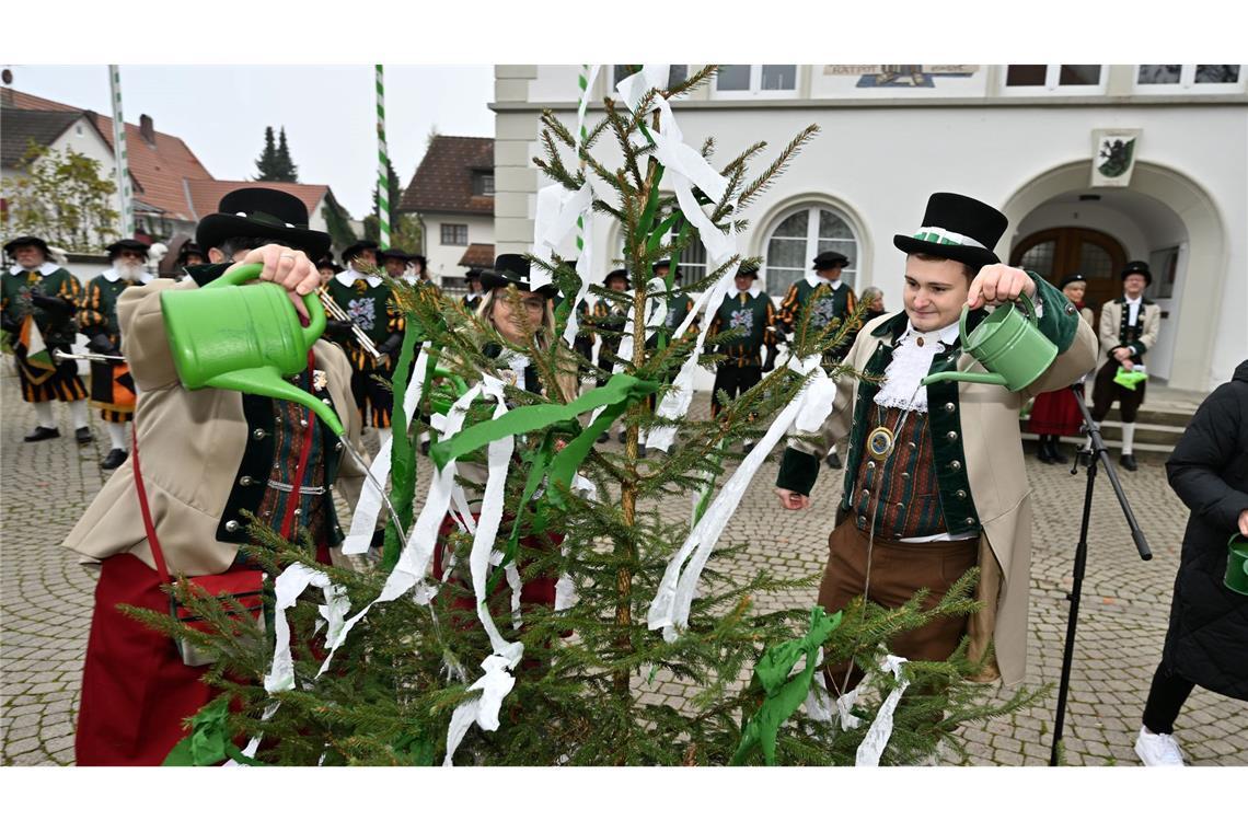 "Energie für Krisen" - Die fünfte Jahreszeit beginnt Im oberschwäbischen Kißlegg stand das Gießen des kleinen Narrenbaums an.