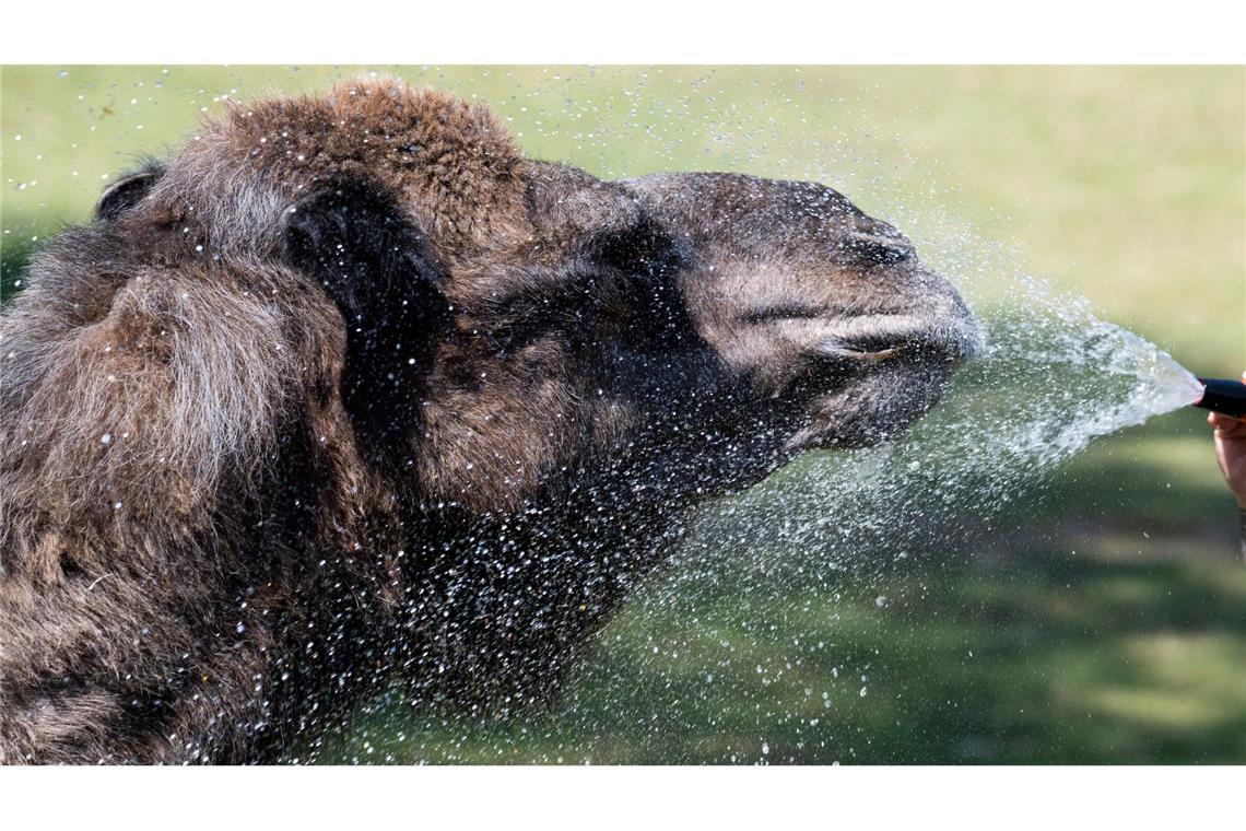 Bilder des Tages