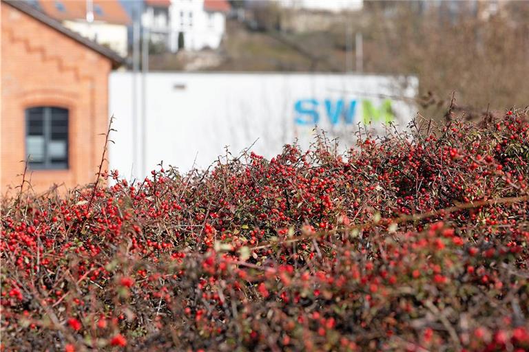 Im Rahmen des Semesterschwerpunkts „Herausforderung: Energie“ können Interessierte auch einen Blick hinter die Kulissen der Heizzentrale der Stadtwerke werfen. Foto: Jörg Fiedler