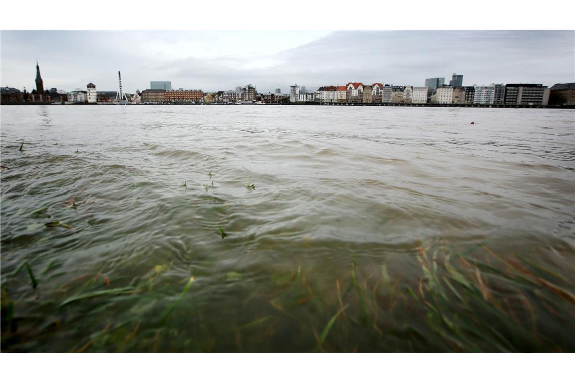 Im Rhein schwimmt mehr Müll als angenommen. (Archivbild).