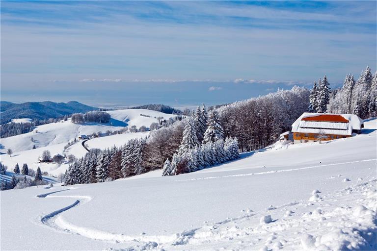 Im Schwarzwald gibt es wieder viel Neuschnee.