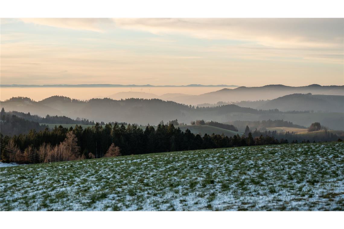 Wolken, Regen und nur wenig Schnee im Südwesten Im Schwarzwald könnte es am Wochenende schneien.