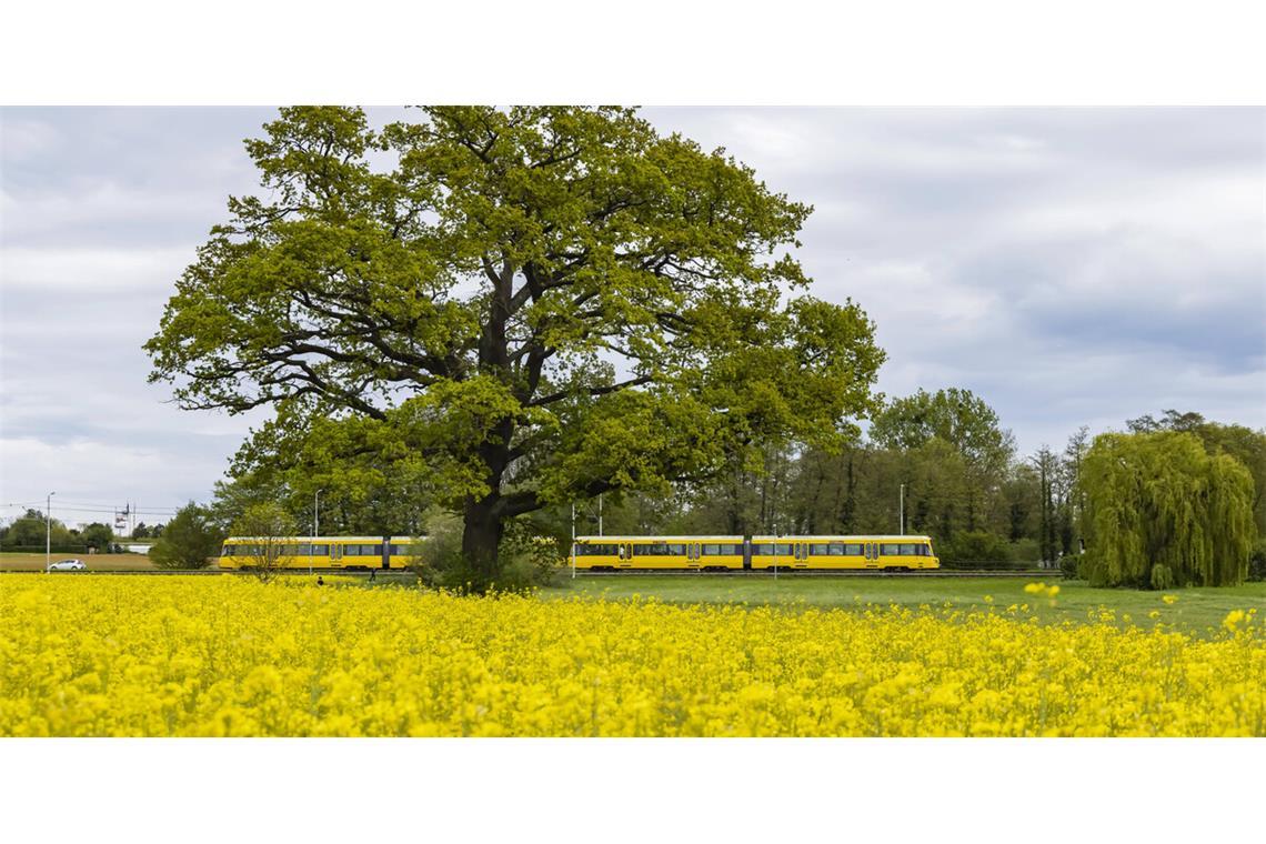 Im Stadtbahnnetz auf den Fildern könnten sich in den 2030er Jahren größere Veränderungen ergeben.