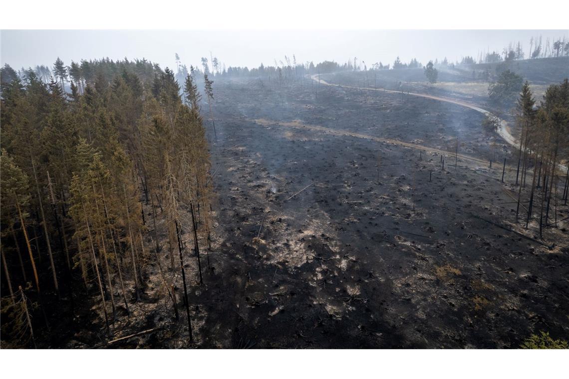 Mehrere Wälder im Osten Deutschlands brennen