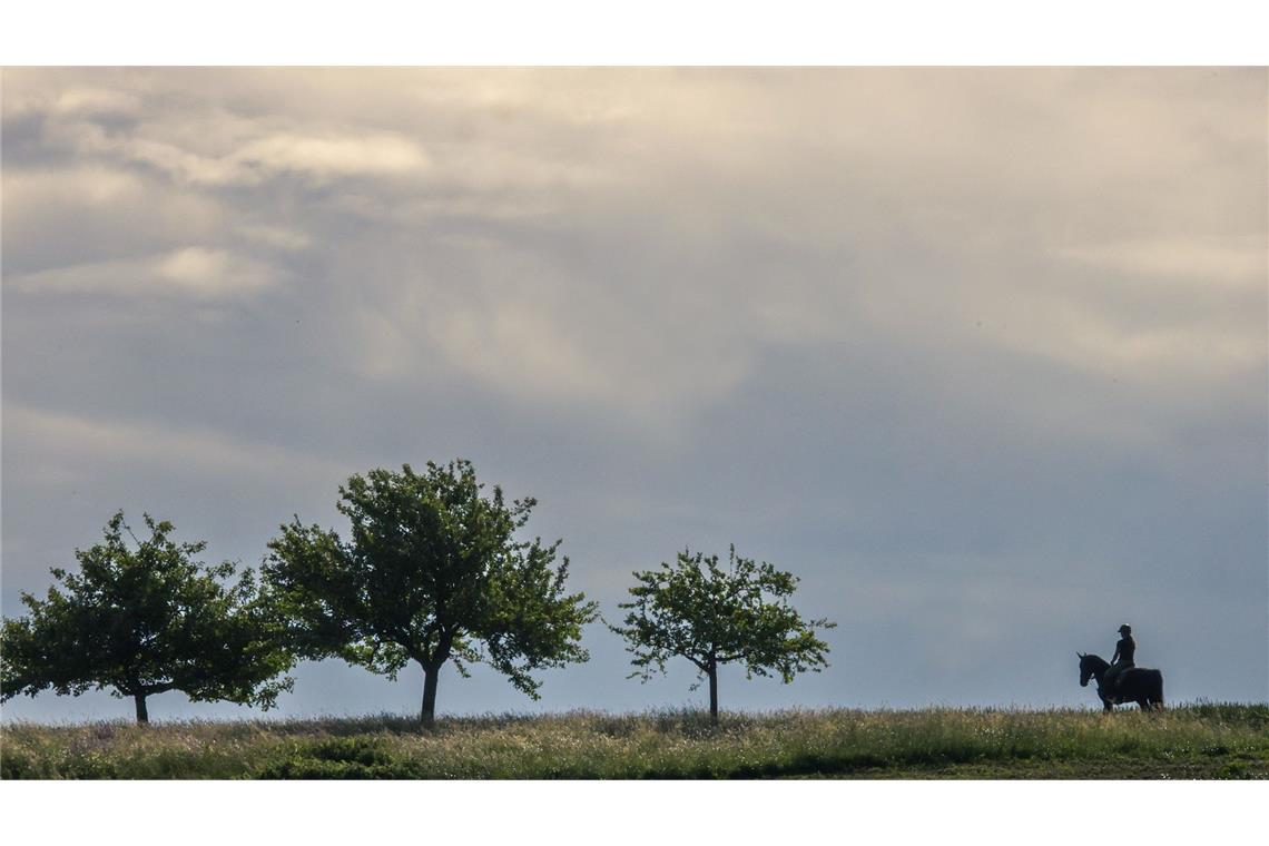 Pfingsten fällt ins Wasser – nur ein Tag wird schön Immer wieder Wolken und Regen: Das sind die Aussichten für das Pfingstwochenende (Symbolbild).