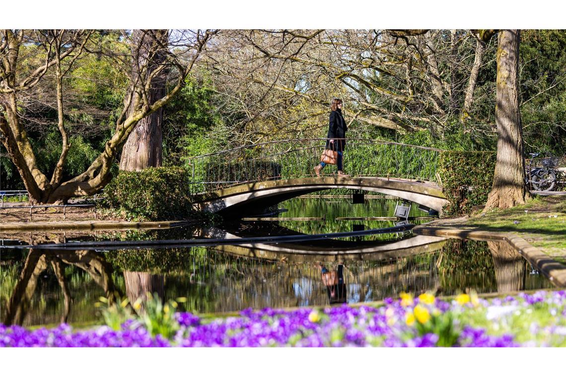 In Baden-Württemberg hält der Frühling Kurs.